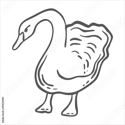 Swan vector graphic illustration for design of farming and zoological themes. Whimsical hand drawn isolated elegant bird. Black and white doodle of wild animals for stickers, birdwatching print, card.