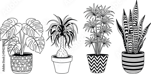 Black silhouette illustration of four potted houseplants including monstera, ponytail palm, parlor palm, and snake plant, symbolizing indoor decor, botanical design, and creative artwork projects