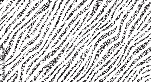 A high-contrast animal print background featuring diagonal zebra stripes with a heavy grainy, speckled texture for a distressed organic look.