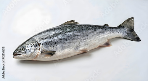 fish on ice