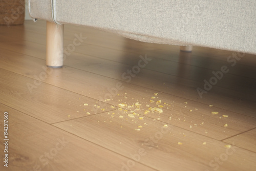 Foto Food crumbs on floor under couch at home during daytime