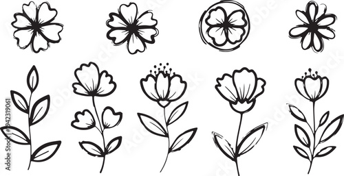 A curated collection of black hand-rendered floral sketches and organic botanical doodles on a white background.