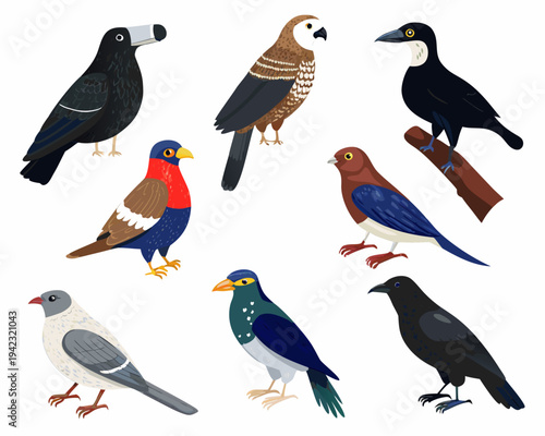 Colorful collection of illustrated birds with diverse plumage and features