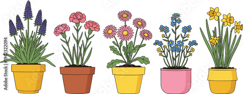 Colorful potted flowers collection with blooming garden plants in decorative pots, spring floral houseplants illustration for home gardening and botanical design vector set