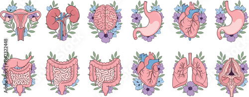 Detailed black and white illustration of human organs decorated with floral elements, symbolizing anatomy, medical education, biology, healthcare, artistic design, and creative artwork projects