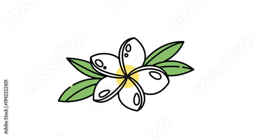 Delicate Plumeria Flower with Green Leaves Illustration.