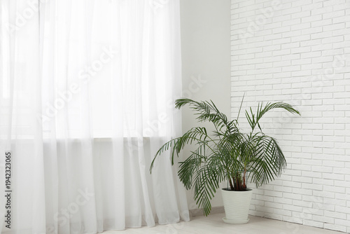 Interior of living room with houseplant and modern curtains hanging on big window near white brick wall