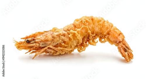 shrimp isolated on white background