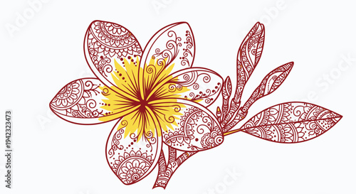 Detailed Plumeria Flower Illustration with Intricate Patterns and Delicate Lines.