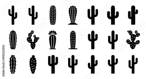 Collection of various cactus illustrations displayed in a grid pattern on a clean background viewed from directly above
