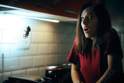 Photos Shocked Woman Finds Giant Spider in Kitchen at Night