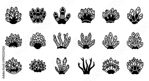 Black coral icons, coral reef symbols, ocean illustrations, 20 sea creature graphics, vector set