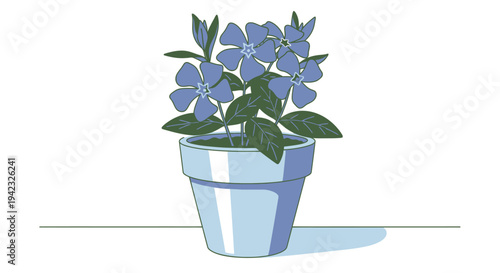 Illustration of a Vinca Minor Plant in a Pot.
