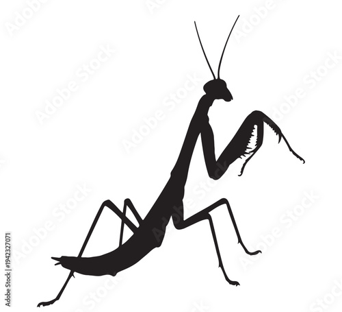 Striking black silhouette illustration of a praying mantis, an iconic predatory insect. This clean vector graphic depicts wildlife and nature's fascinating creatures