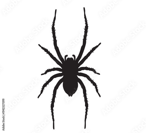 Graphic black silhouette of a spider, perfect for Halloween designs, horror themes, creepy animal illustrations, vector art, and insect phobia concepts