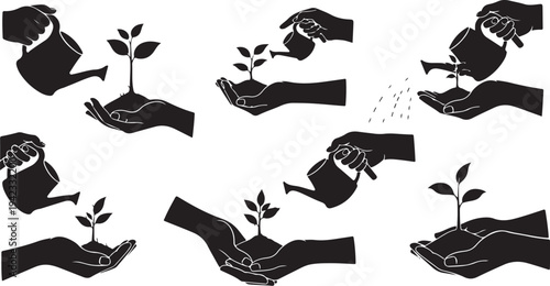 Nurturing Growth with Careful Hands and Watering Plants