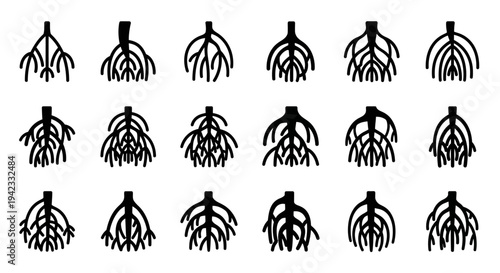 Collection of Various Plant Root Systems Showcasing Diverse Structures and Growth Patterns