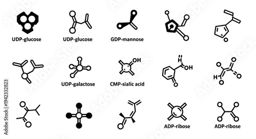 Molecular Structures A Visual Collection of Scientific Compounds and Their Representations