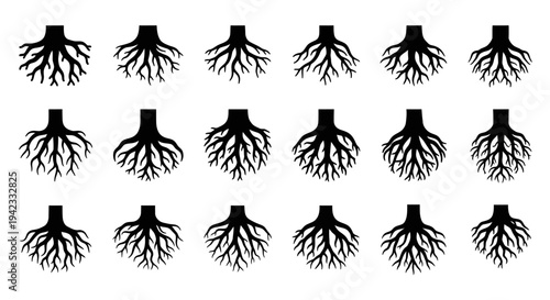 Collection of abstract tree root systems, visualized as intricate branching networks, on a white background