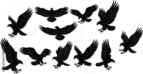 Set of flying eagle silhouettes isolated on white background vector collection of predatory birds in flight spread wings wildlife design elements for branding illustration
