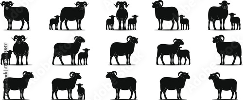 Set of sheep and ram silhouettes with lambs farm animal family collection isolated black vector livestock icons for agriculture ranch pastoral design clipart