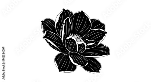 A simple black and white illustration of a flower with visible details.