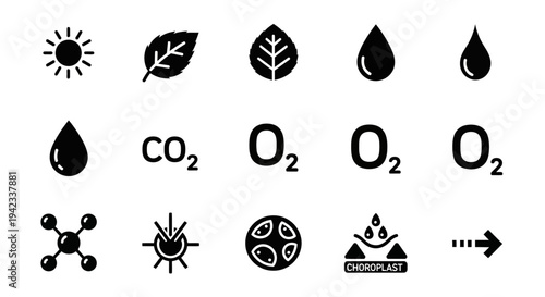 Illustration set depicting environmental elements and symbols related to nature and ecology in a simple black and white style