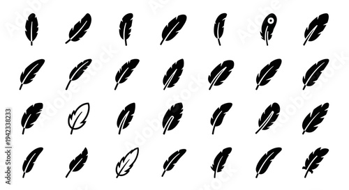 Collection of various black hand-drawn feathers arranged in a grid pattern on a clean white surface viewed from directly above