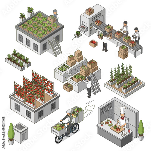 Isometric illustration depicting various aspects of urban farming, from rooftop gardens and vertical farms to processing, delivery, and culinary use.
