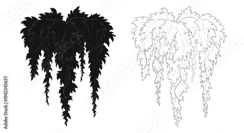 Two depictions of a hanging fern plant one dark and one light
