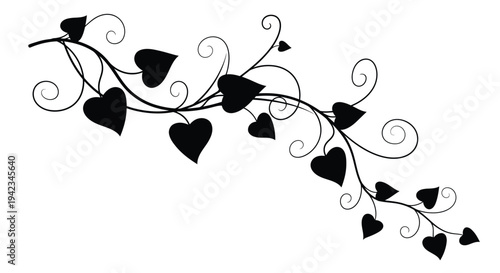 Elegant black vine with heart shaped leaves and swirling tendrils
