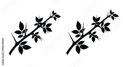 Two thorny branches with leaves depicted in a stark black silhouette