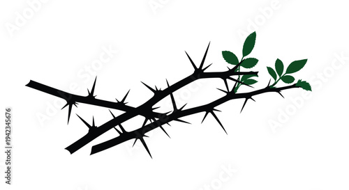 A thorny branch with a few green leaves depicted in a simple style