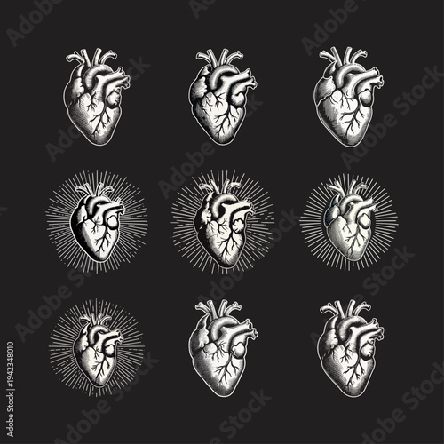Vintage Engraved Anatomical Human Hearts Illustration Set with Radiating Rays