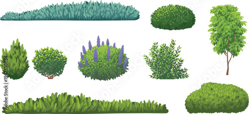 Garden bushes and shrubs collection, green landscaping plants hedge foliage isolated vector illustration for park landscape design
