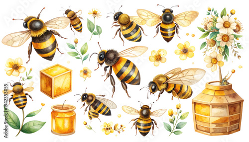 A colorful illustration of bees and flowers on transparent background
