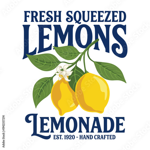 The image features fresh lemons and a handcrafted lemonade label that evokes a sense of nostalgia for homemade, summer beverages and vibrant outdoor gatherings.
