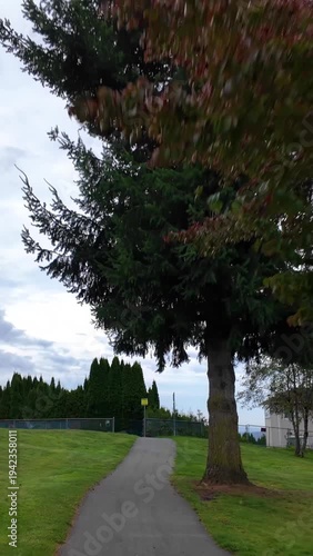 Wallpaper Mural Tranquil Paved Path Through a Green Park with Lush Trees on an Overcast Day in British Columbia, Canada Torontodigital.ca
