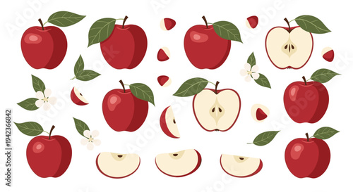 Selection of whole and sliced red apples with green leaves and blossoms arranged as design elements in vector illustration.