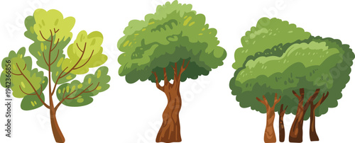 Three stylized tree illustrations with unique foliage patterns, slender trunk, twisted trunk, clustered trunks, nature art, environment design, botanical diversity
