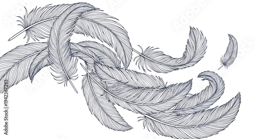 Detailed black and white line art illustration of multiple feathers falling or floating in a group on a white background.