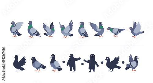 Collection of pigeon illustrations in various poses including flying walking and silhouettes on a plain white background.
