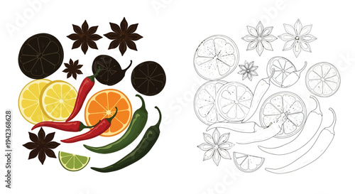 Colorful and monochrome illustration of spices citrus and peppers