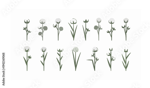 Cotton grass plant icon collection minimalist botanical vector set isolated on white