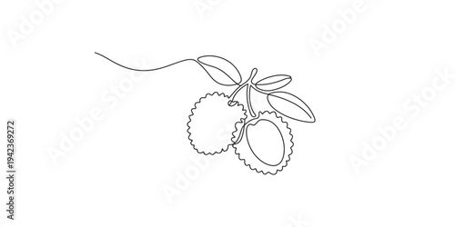 Continuous line drawing of a sprig of citrus fruits art minimalist simple fruit