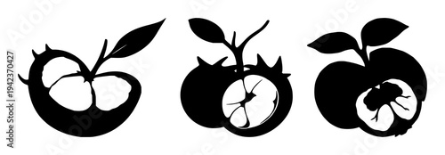 Mangosteen cross-section set with solid black silhouette on white background featuring laboratory-grown, exotic, future food with fruit and biology