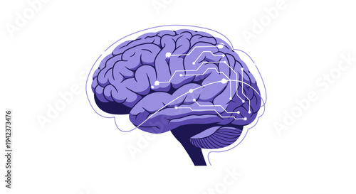 Abstract neural network illustration of a human brain on white background