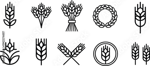 Wheat line icon collection, agriculture grain outline symbols set, barley cereal plant vector isolated for farming harvest logo design