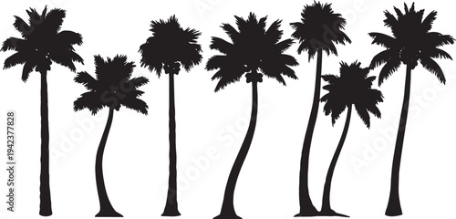 Black Solid Curved Coconut Tree Silhouettes Set of Six on White Background
