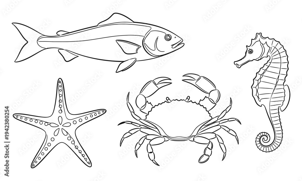 Fototapeta premium Marine life illustrations featuring fish, starfish, crab, and seahorse in a simple line art style from a direct viewpoint